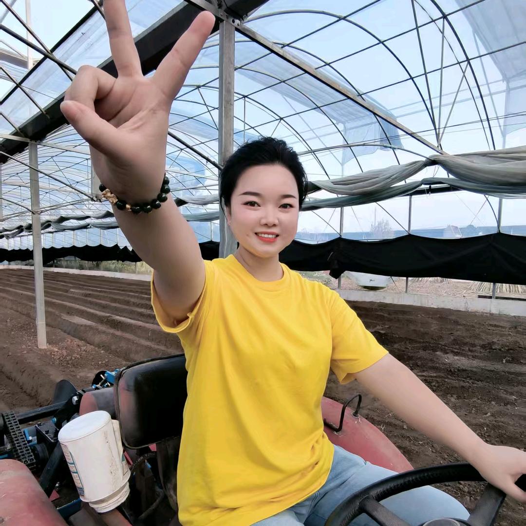 小诸葛~蔬菜种植管理