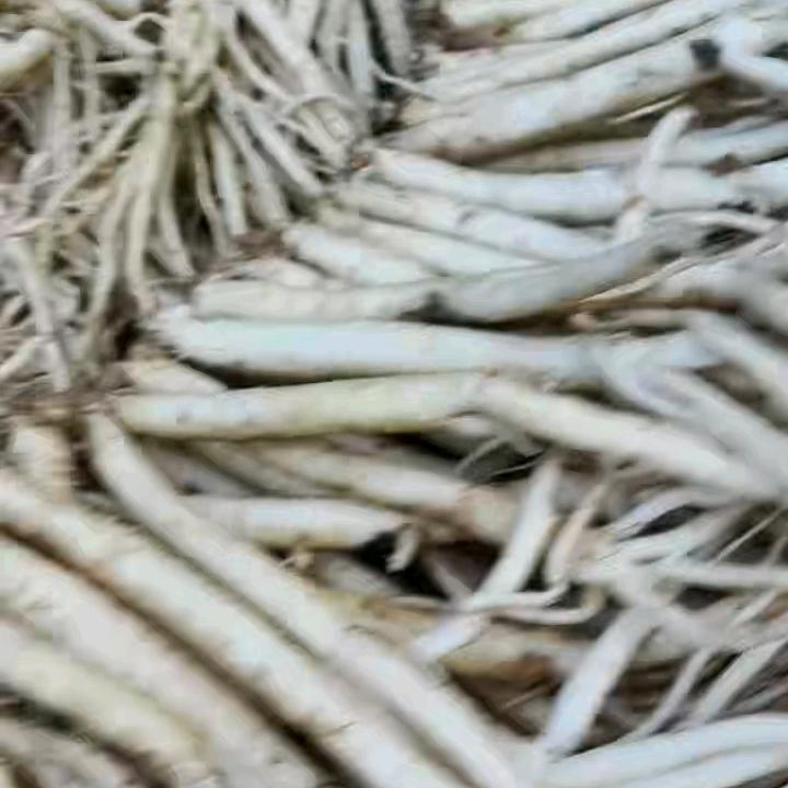 岷县党参黄芪当归直销