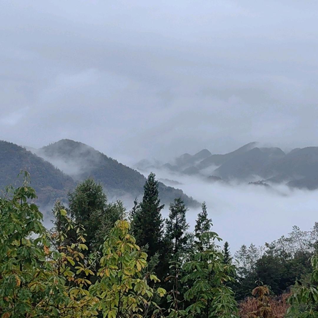 ，明天会更好，