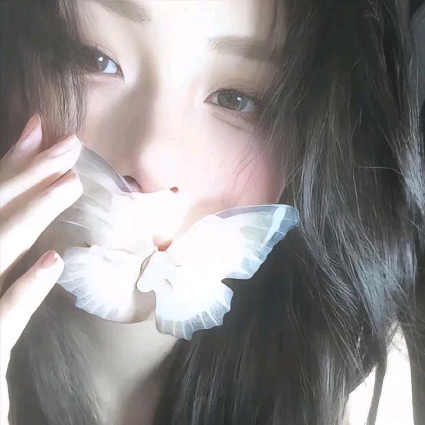 鱼宝🐟