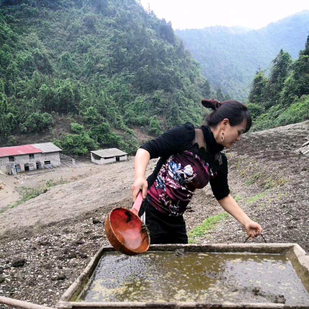 苗家妹农场