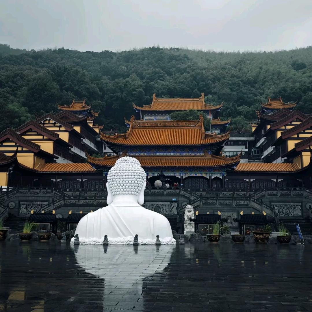 就让大雨淋湿我吧。