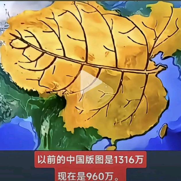 华子（支持华为）