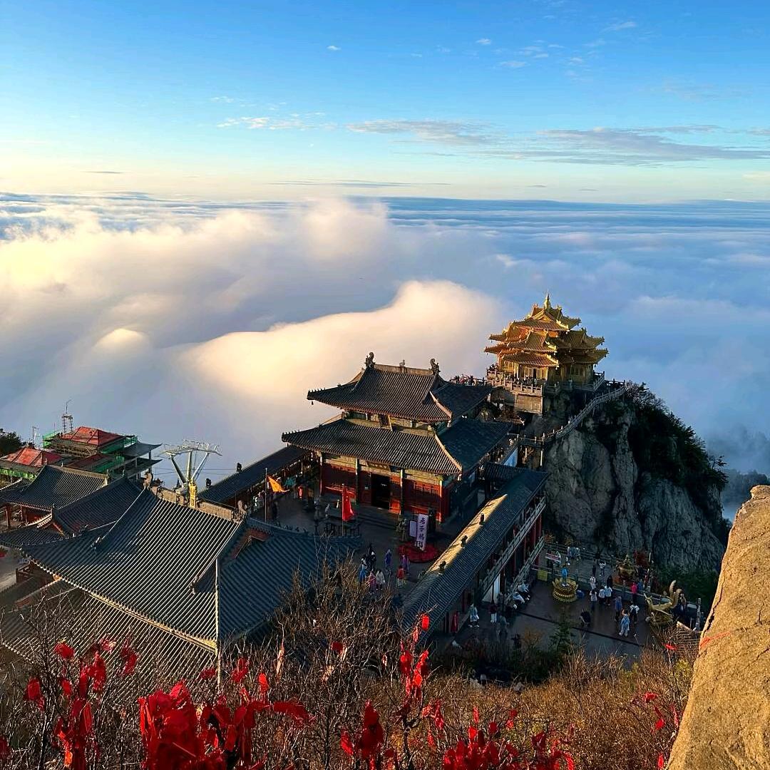 火锅炖大鹅