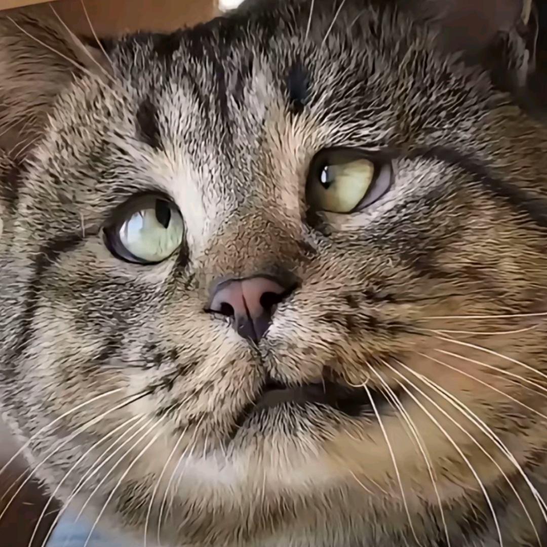 372673883