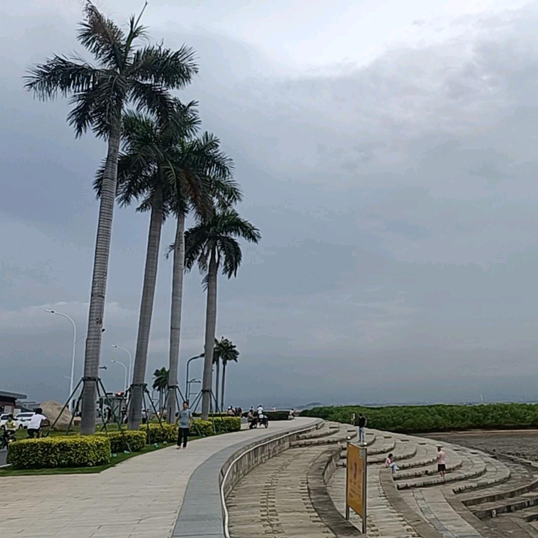 沉        默