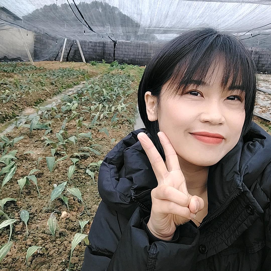 中药材产业链（熊熊）