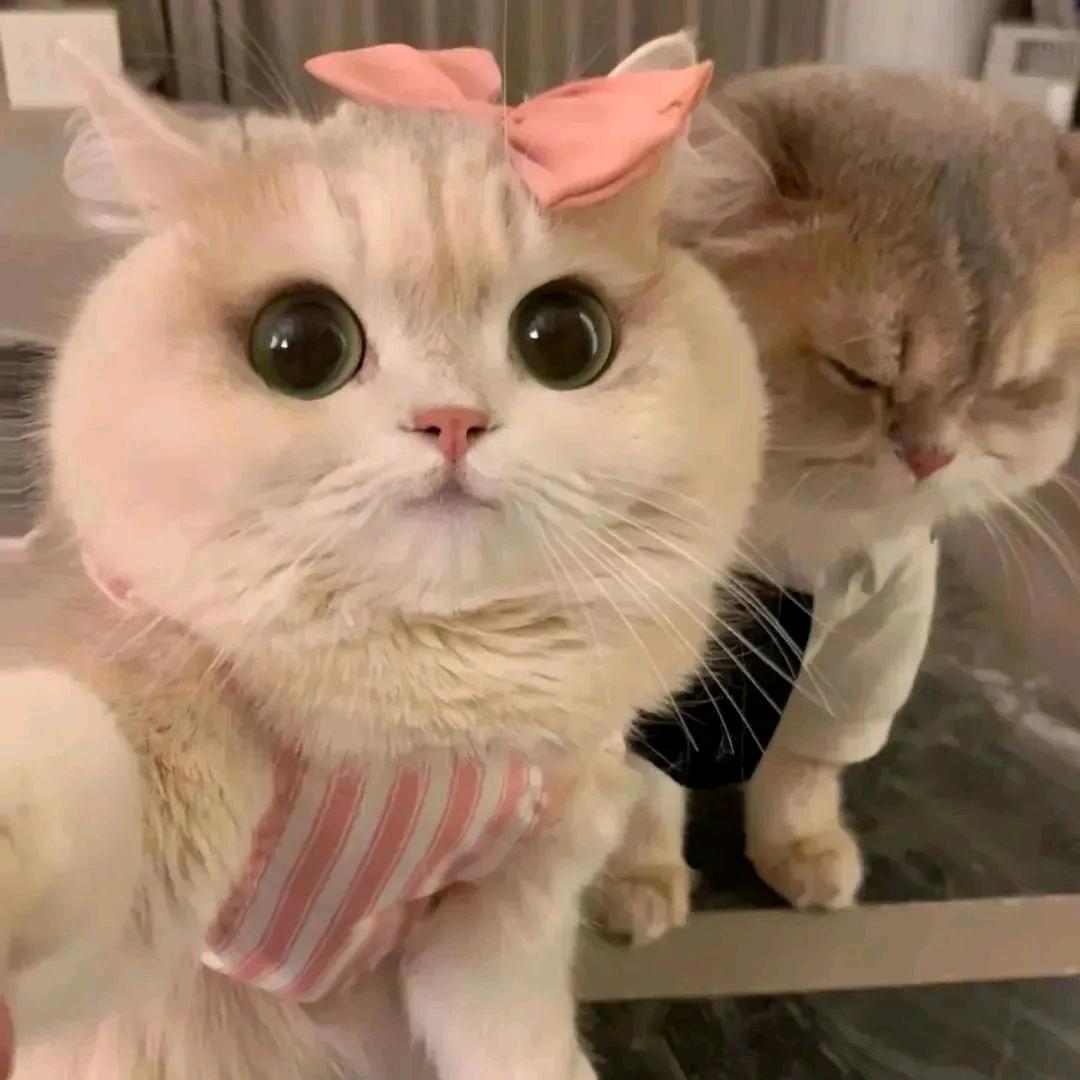 睡个好觉