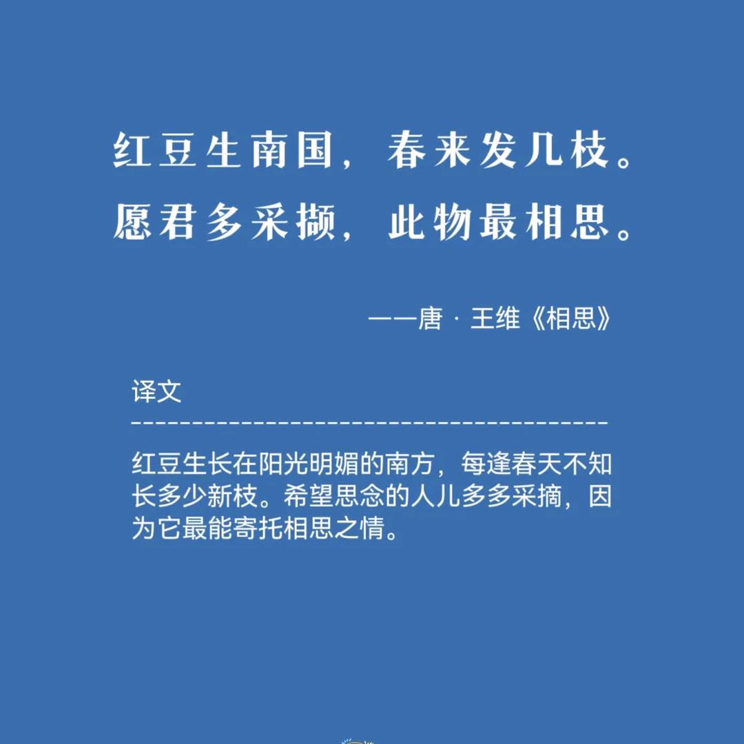 红豆