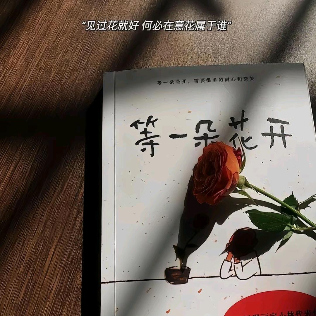 宝鸡辉达阳台洗衣机伴侣