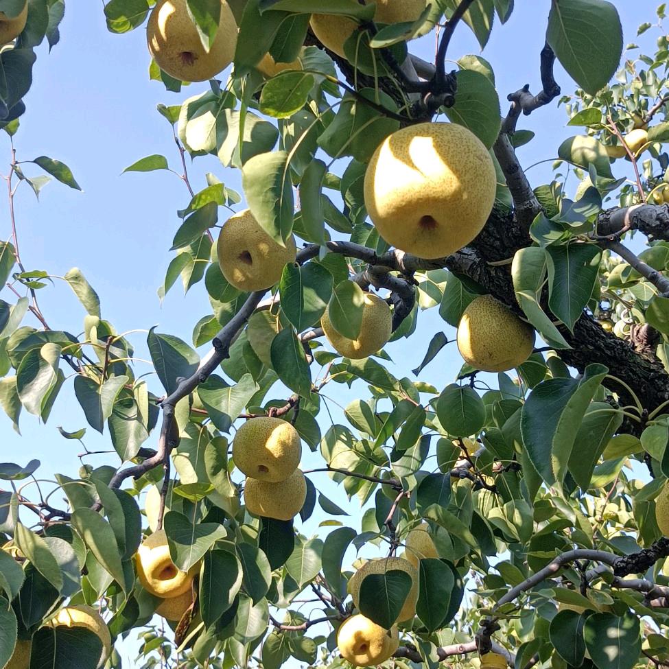 江河，心寒意七八年