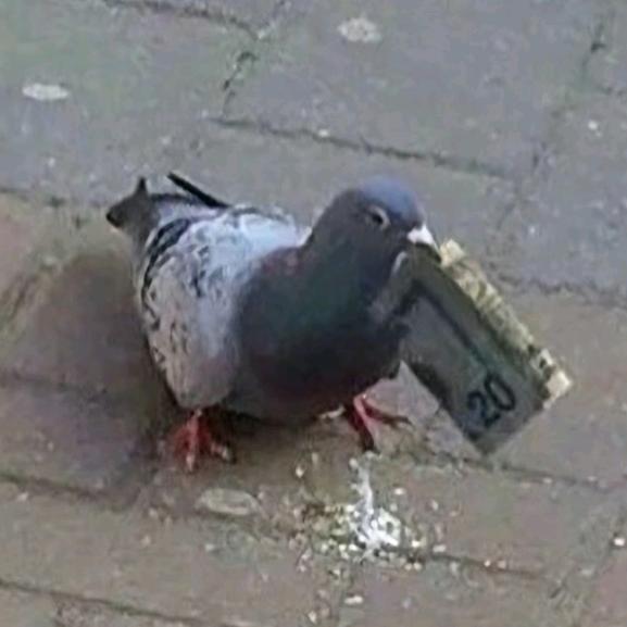 略……