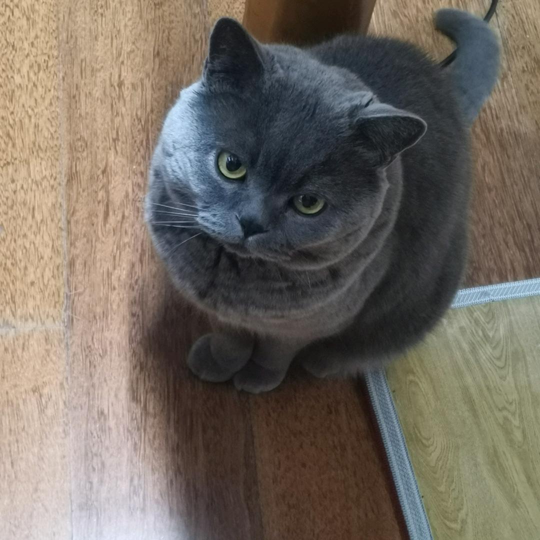 超级无敌噼里啪啦大超人