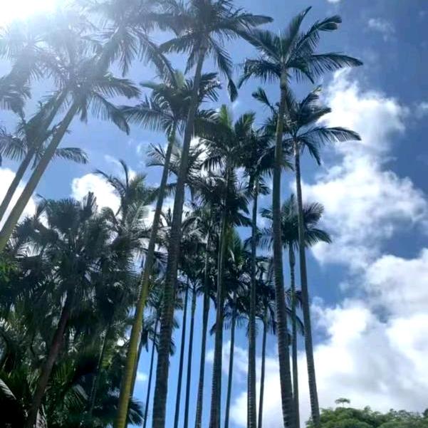 海南安萍贸易有限公司