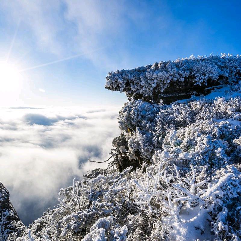诚信方能赢天下