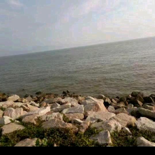 信阳红油热干面、（遂平南环路中段路北）