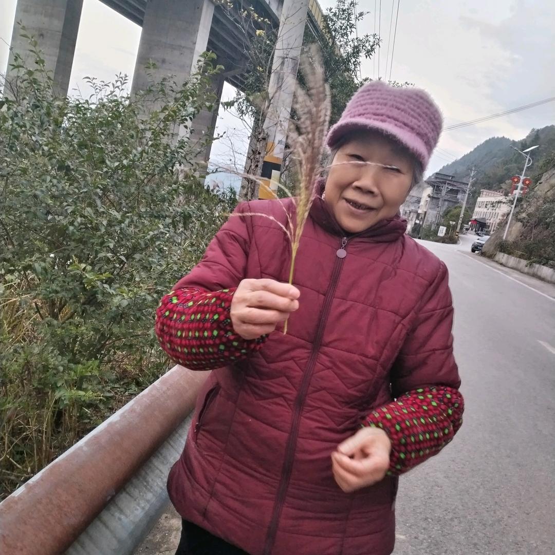 @凤大姐