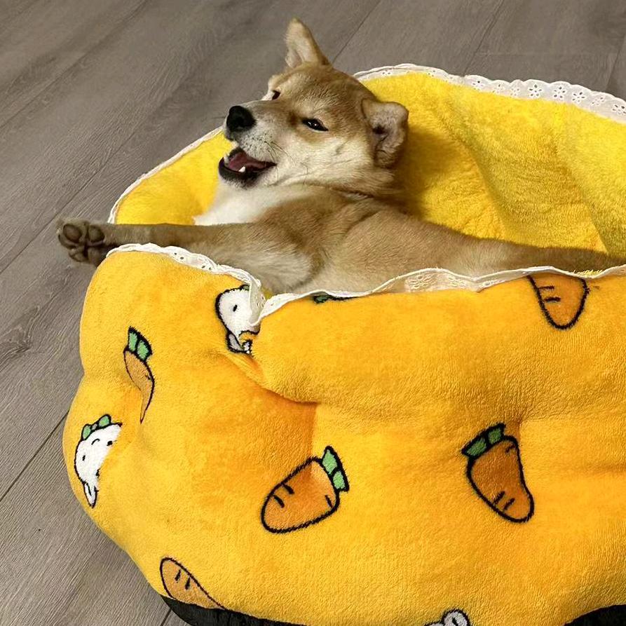 年轮