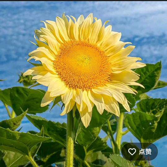 怎么开心怎么过？