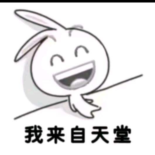 人太权威怎么办