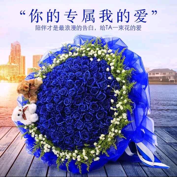 斗南小飞象