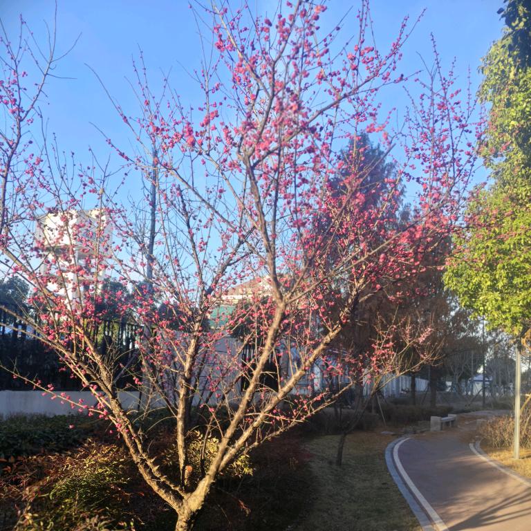 黄海翔头像