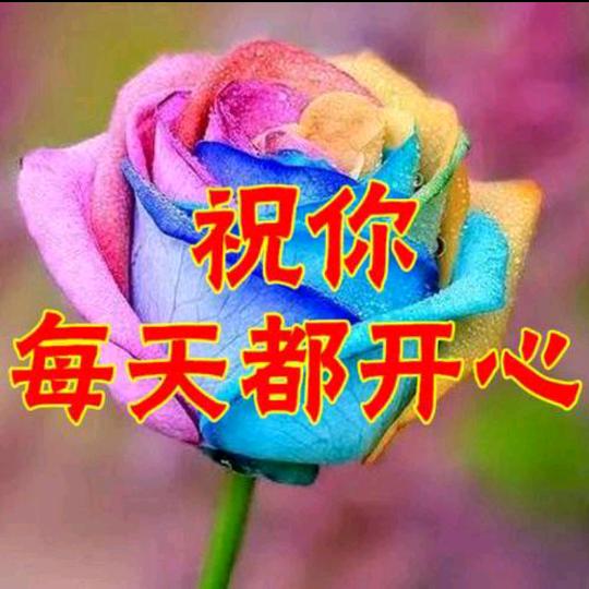 玫瑰怎么会爱上野草