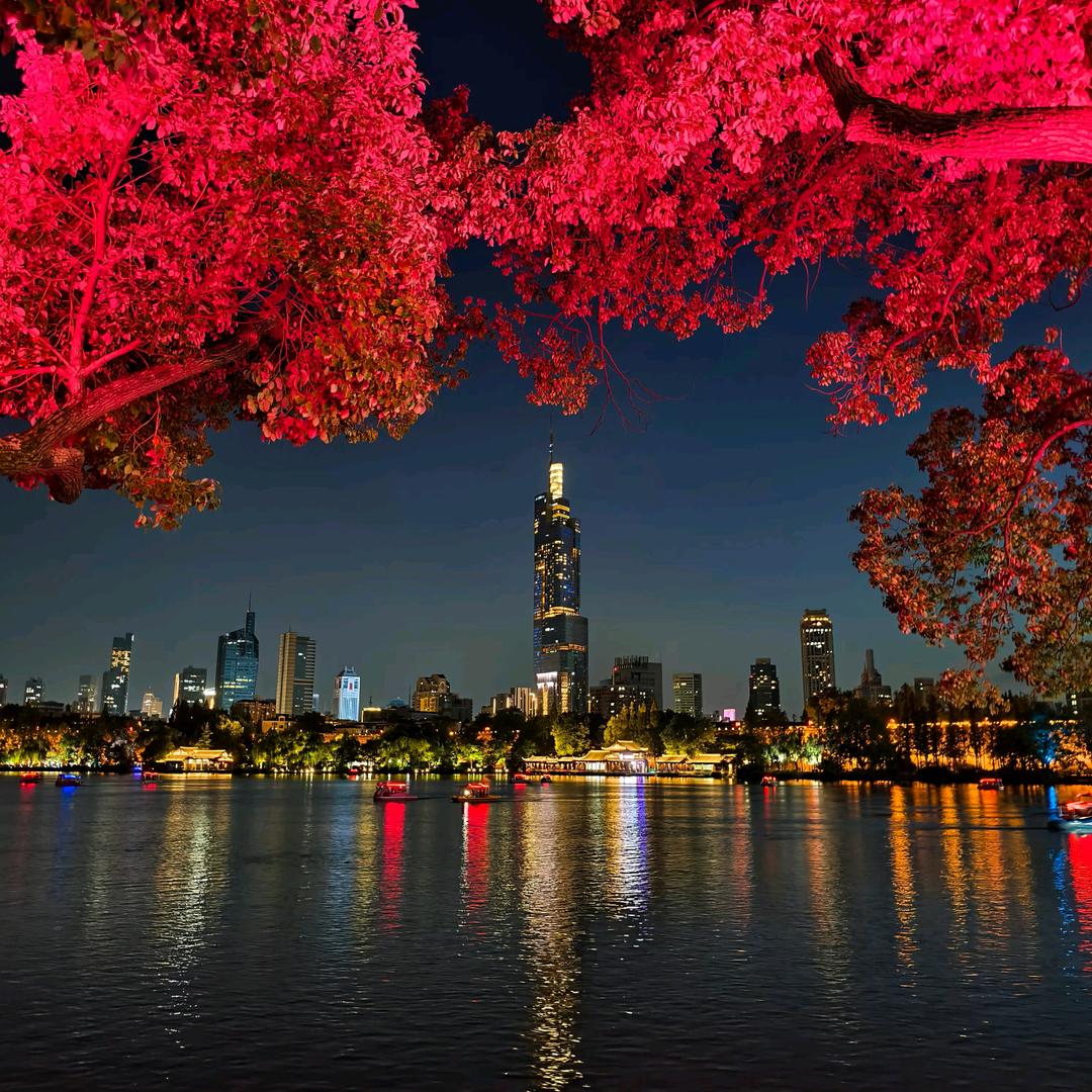 我是一棵小小草