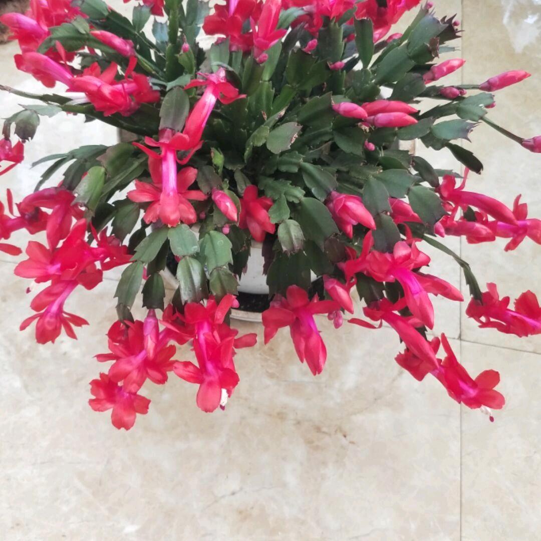 用户6423936286361累