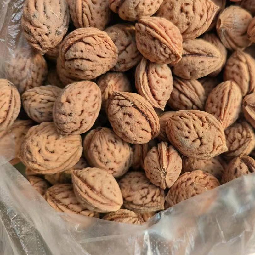 核垚（yao）生财-专业出售野生毛桃核