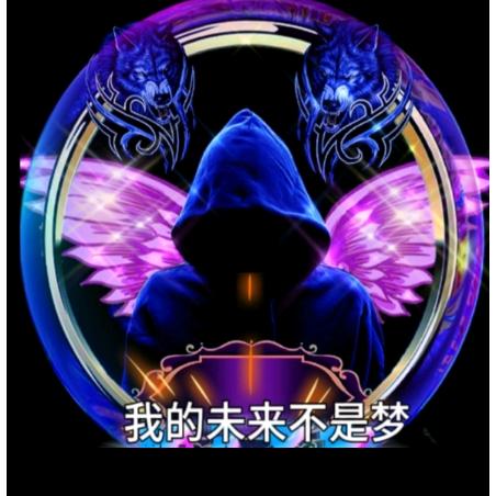 我的未来不是梦