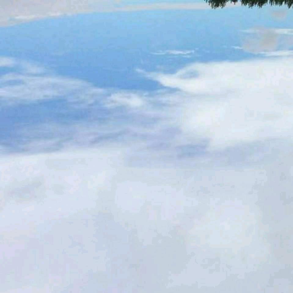 風正扬