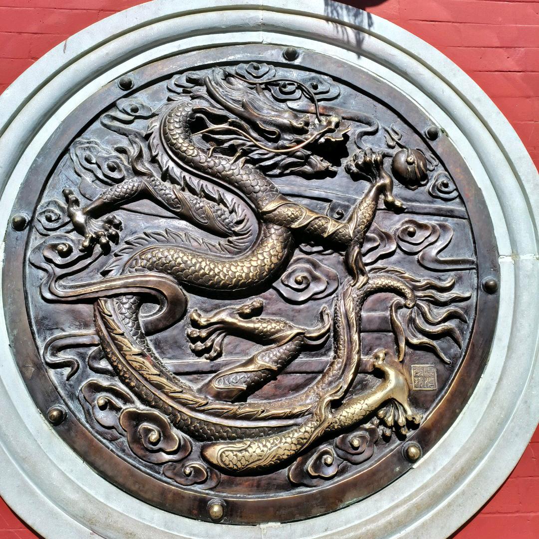 鑫浩萌宠服务创意屋