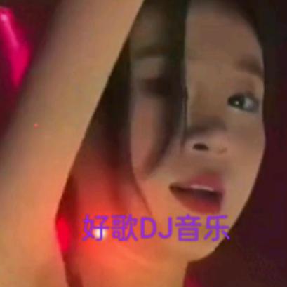 好歌DJ音乐车载音乐优盘