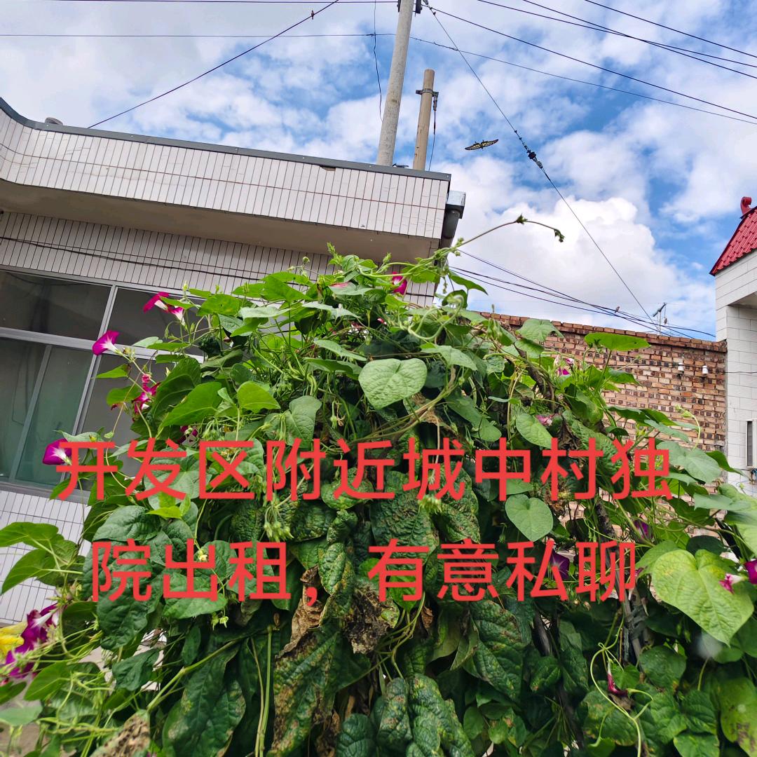 木生花（觉醒）