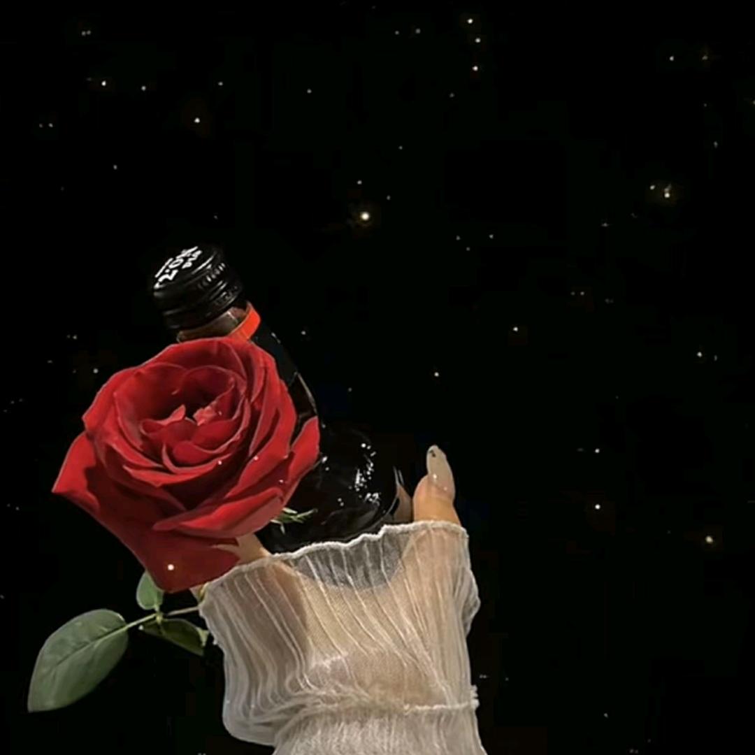 雾里看花海！！