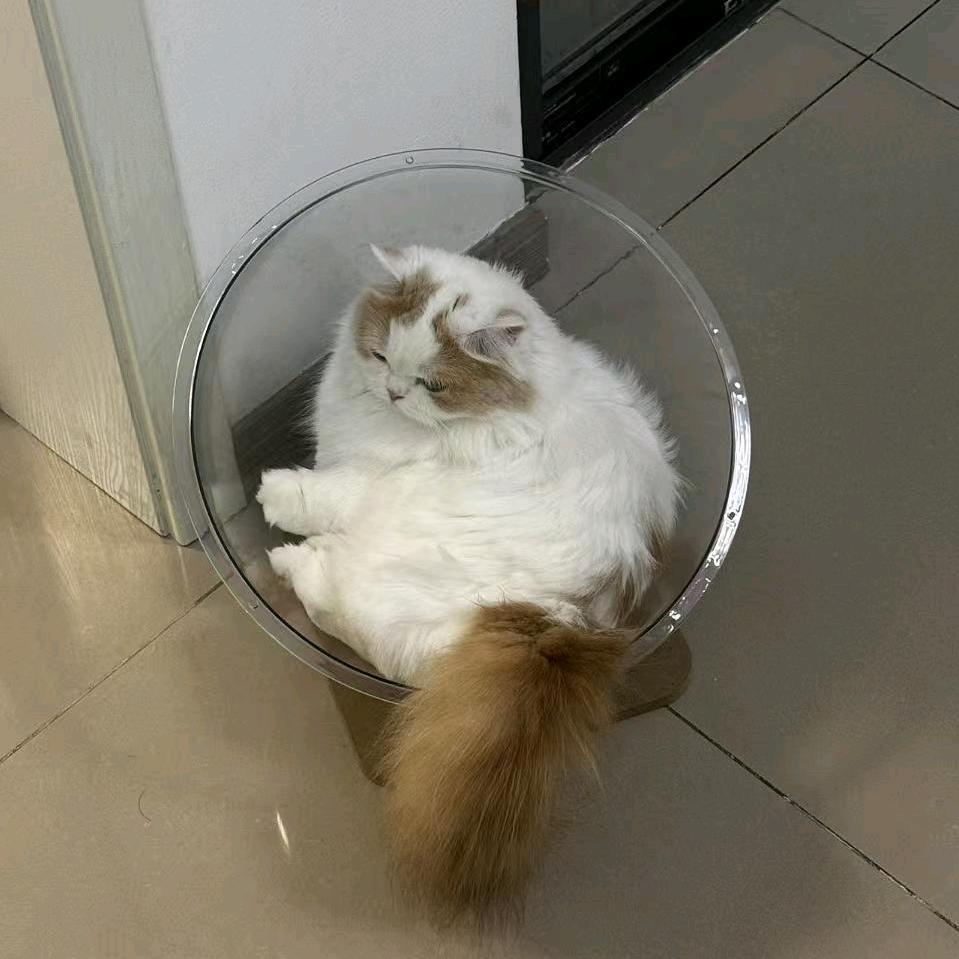 雾私语头像
