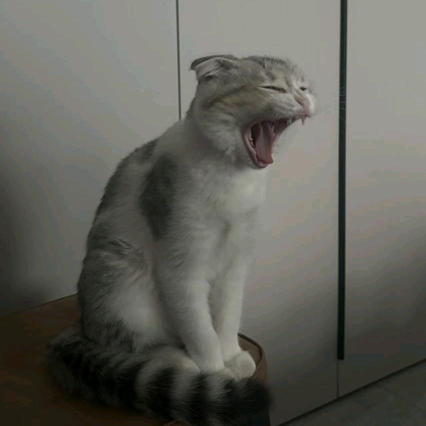 林深闻溪