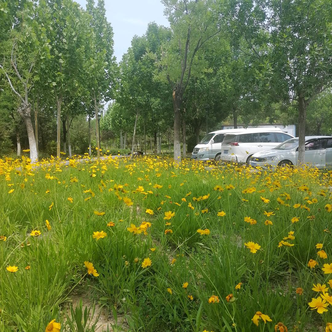 哥还是当年的哥