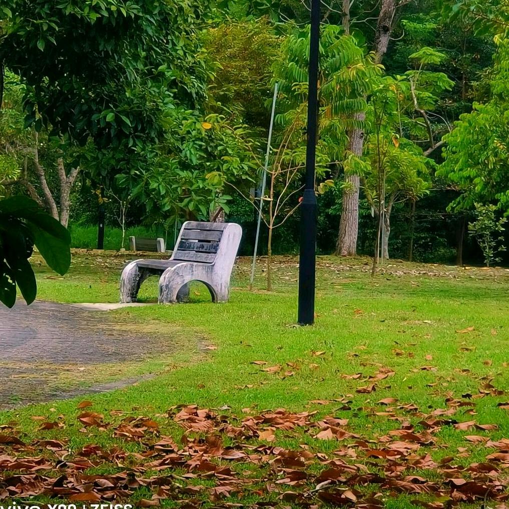 雨下🧚清欢🧚