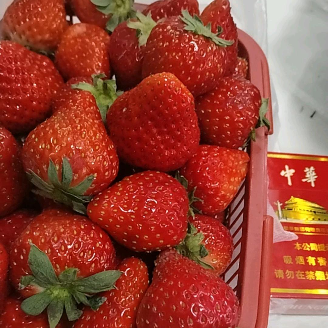 挣钱爱好