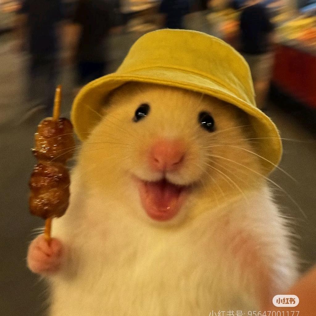 鼠鼠