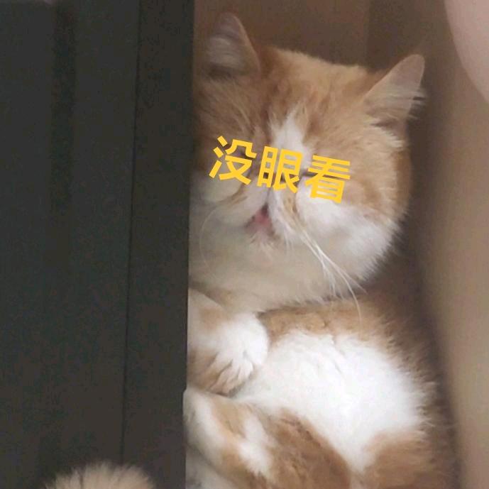 Tuanbao