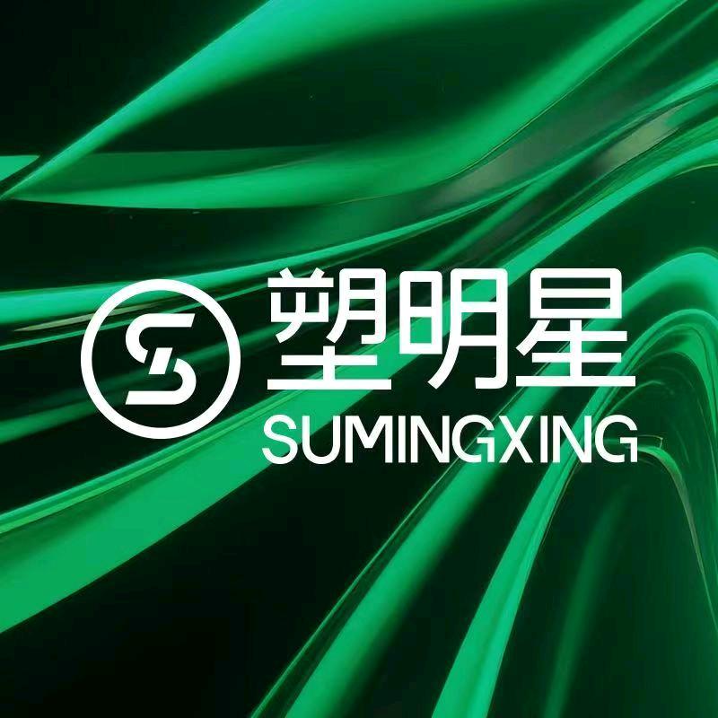 塑明星艾琳