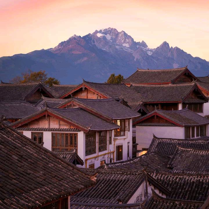 龙啸天