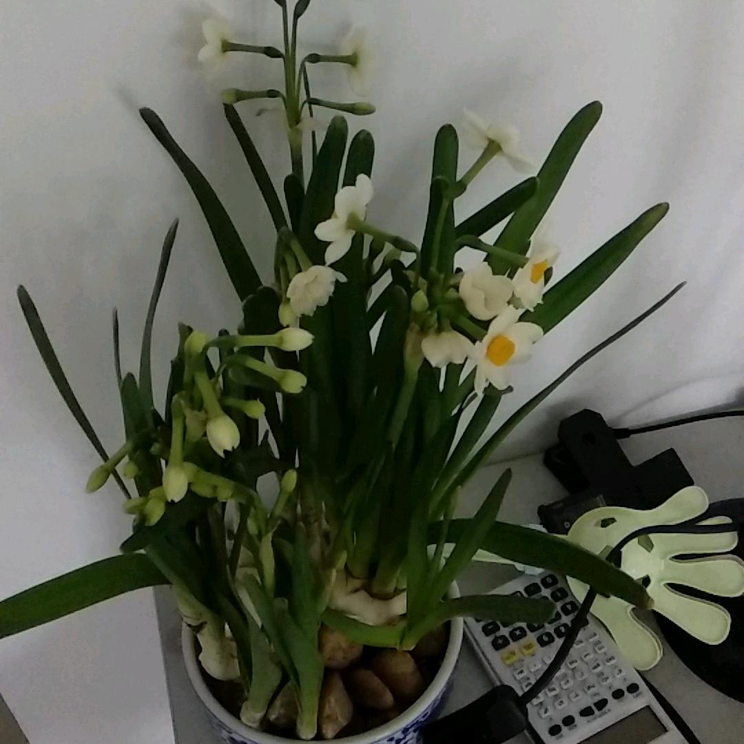 🇨🇳欢欣  🐶