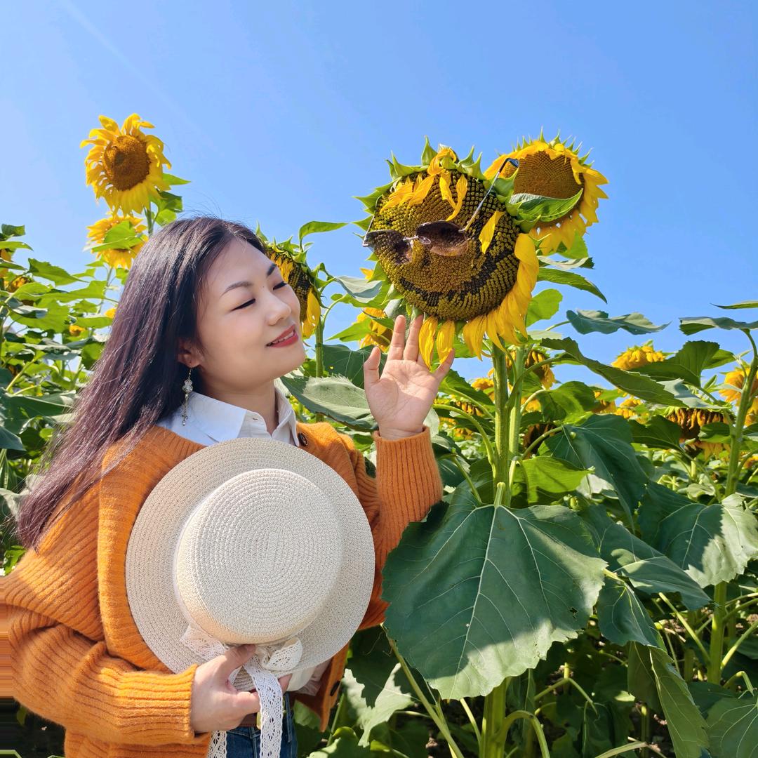 陈凤