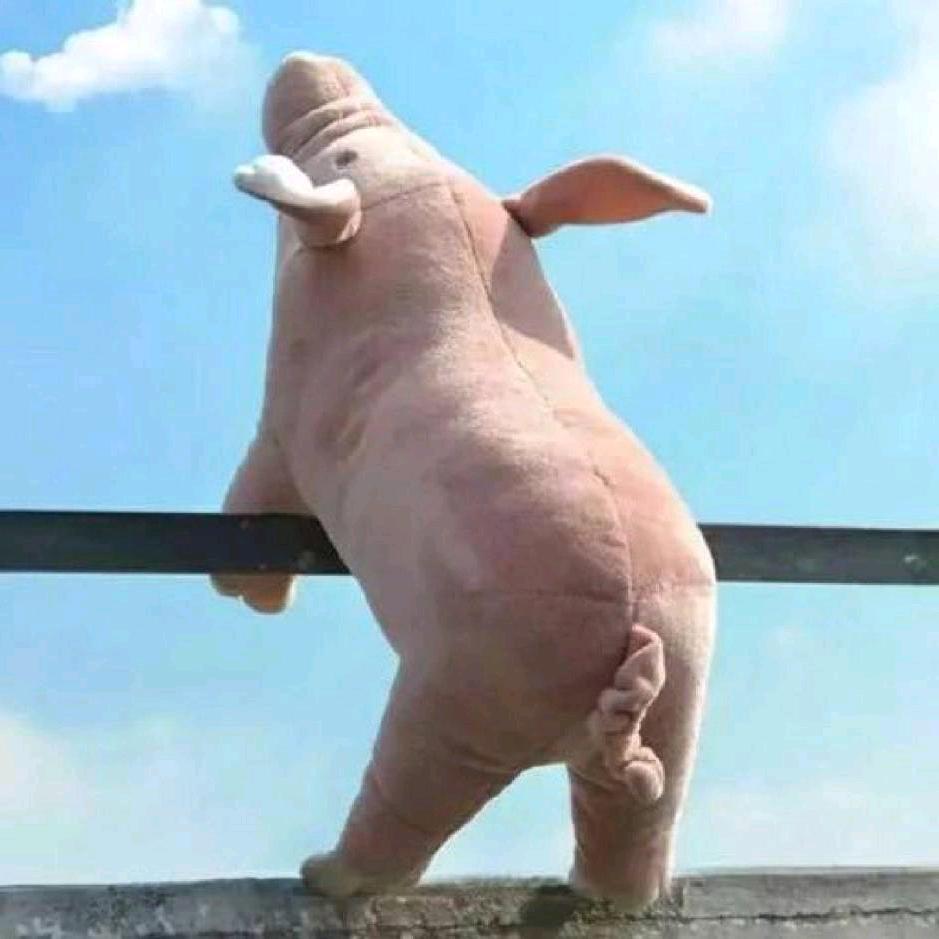 夕阳红（三角洲代肝）