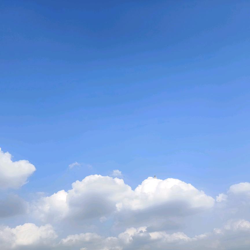 程悦