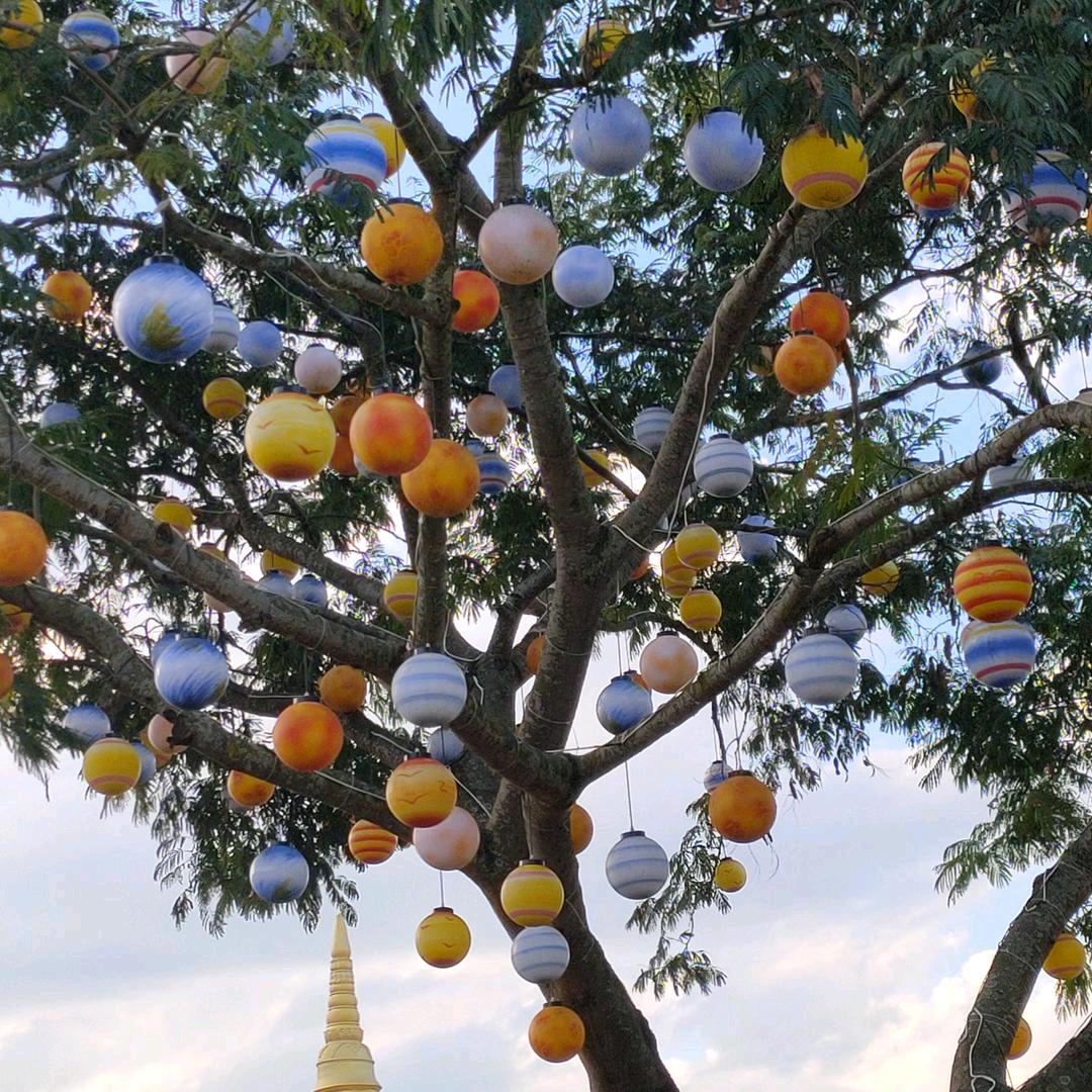 念雪归尘《《禁止连赞》